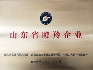 企业荣誉